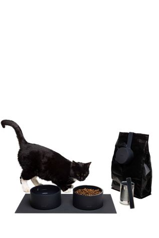 Boo Oh Mogo Pet Feeding Kit