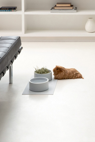 Boo Oh Mogo Pet Feeding Kit