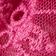 Pink Rose