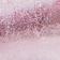 Rose vif