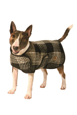 Chilly Dog Plaid Dog Blanket Coat Jacket at Free People in Black, Size: XS