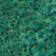 White / Dark Green
