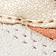 White / Terracotta