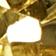 Citrine/Doré