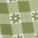 Palm Combo