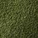 Textured Olive