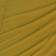 Dried Palm