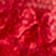 Siren Red