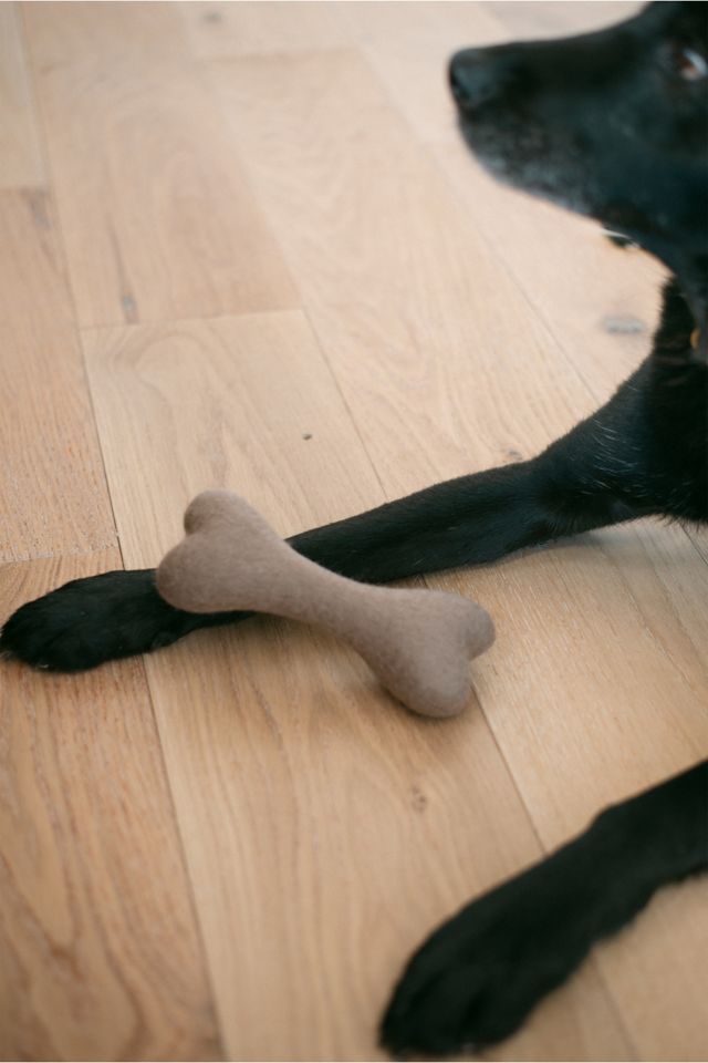 MODERNBEAST Neutral Woolbone Dog Toy #2