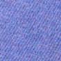 Blue Iris