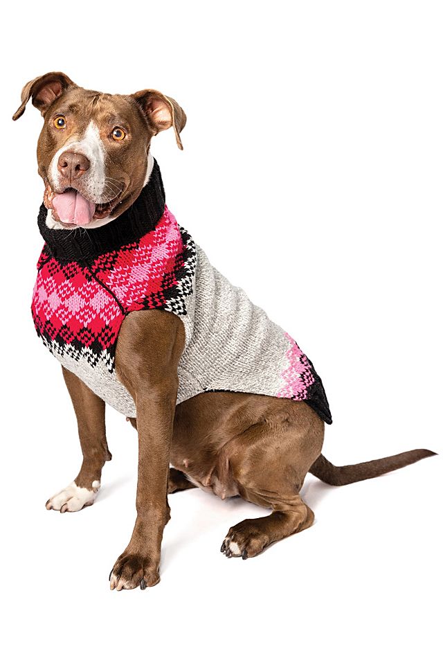 Chilly Dog Boyfriend Dog Sweater 