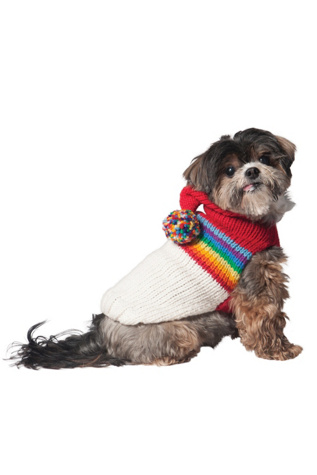 Chilly Dog Vintage Ski Hoodie Dog Sweater at Free People in Red, Size: L