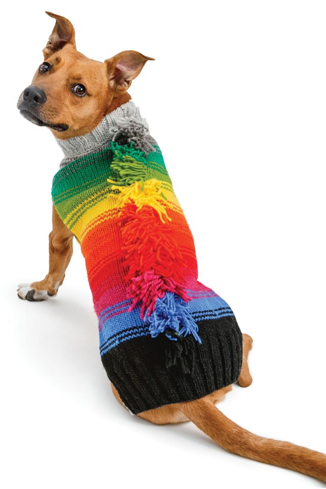 Rainbow dog sale sweater