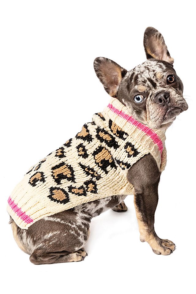 Chilly Dog Leopard Dog Sweater | Free People Chilly Dog Leopard Dog Sweater | Free People