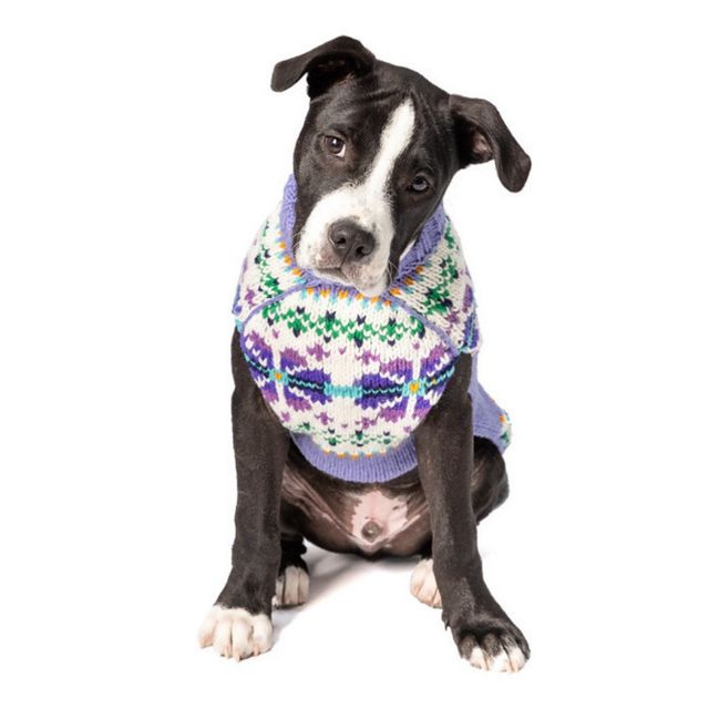 XXXL Chilly Dog Lavender Flowers Dog Sweater #1