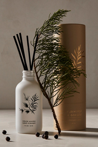 Free People Apothecary Reed Diffuser French Juniper, Clove & Ginger at Free People