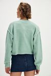 Lila Cardi