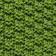 Vert forêt