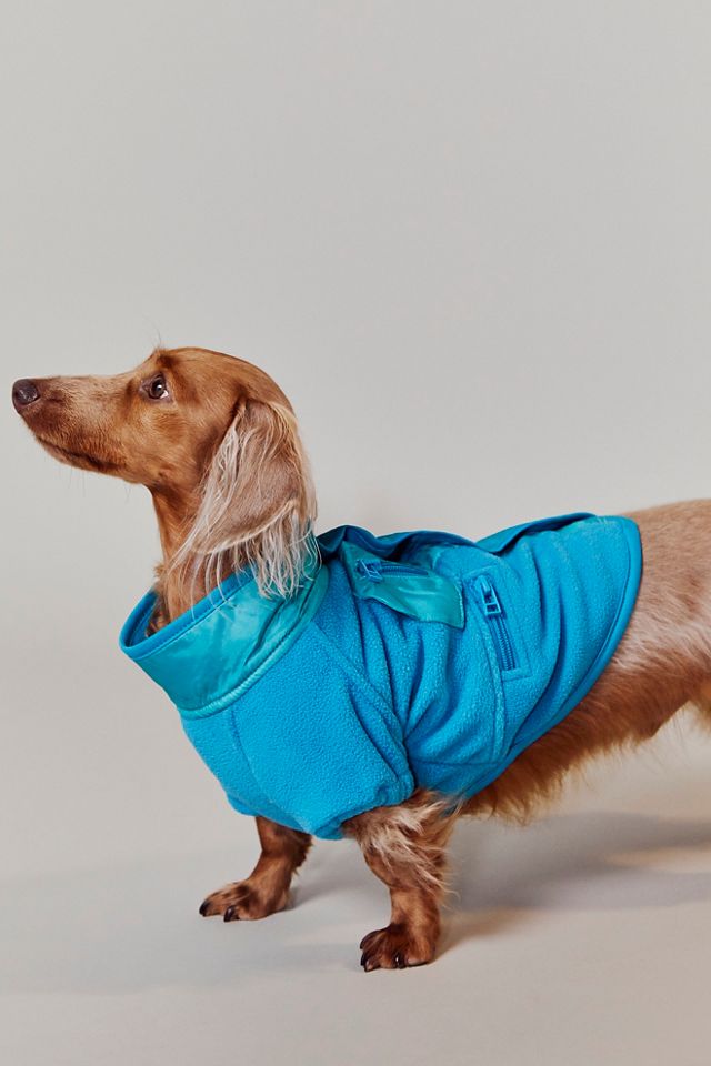 Hit The Slopes Pet Jacket #11