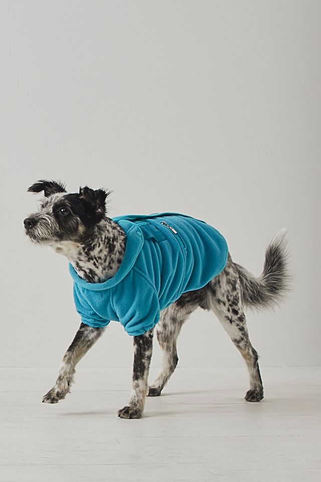 Hit The Slopes Pet Jacket #3