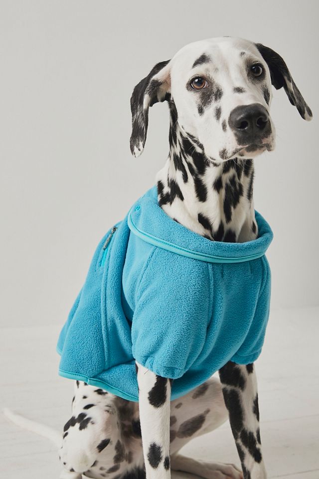 Hit The Slopes Pet Jacket #1
