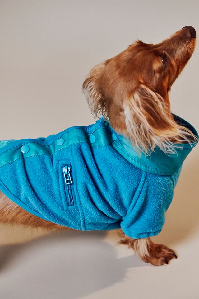 Hit The Slopes Pet Jacket #12