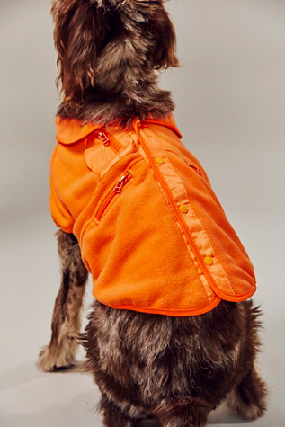 FP x Found My Animal Hit The Slopes Pet Jacket at Free People in Mandarin Red, Size: Small