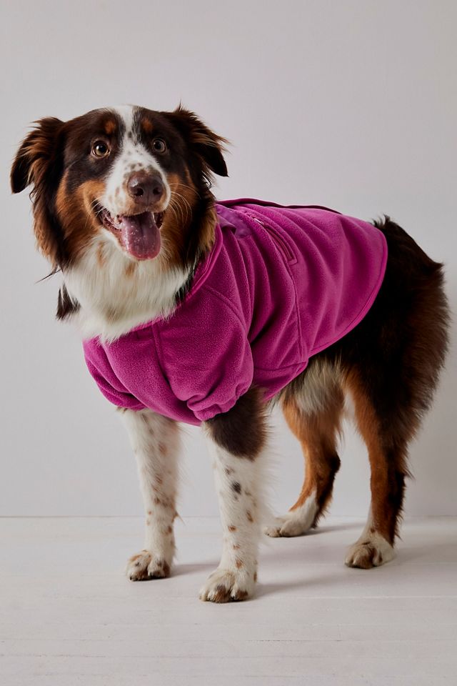 Manteau pour animal de compagnie Hit The Slopes #1