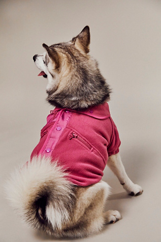 FP x Found My Animal Hit The Slopes Pet Jacket at Free People in Super Pink, Size: Large