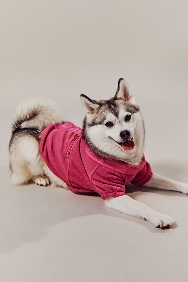 Manteau pour animal de compagnie Hit The Slopes #7
