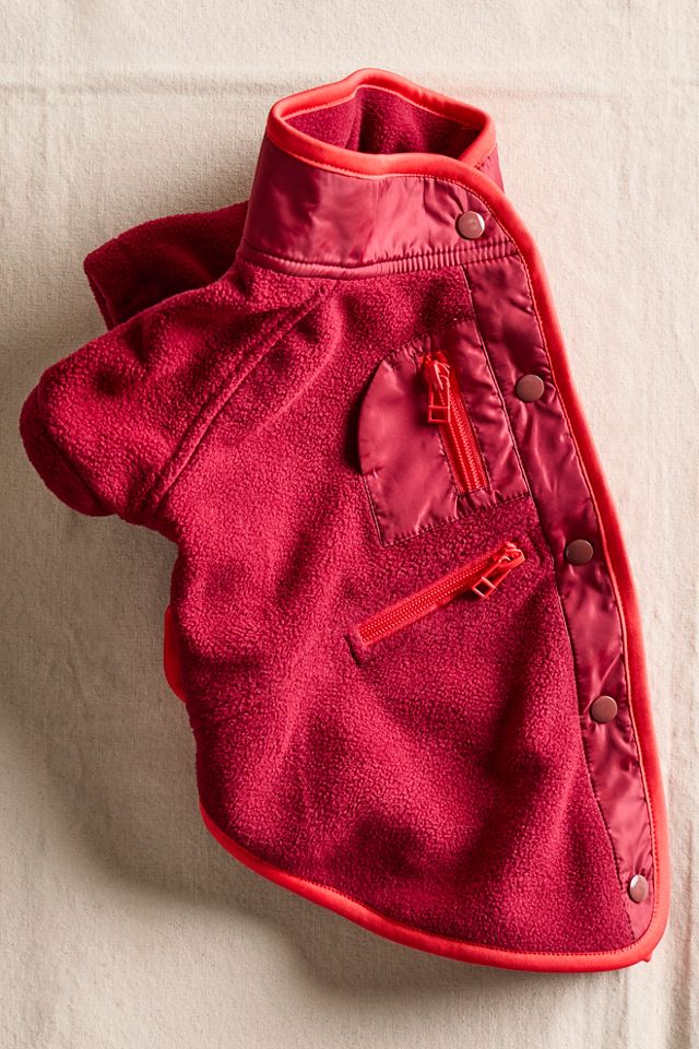 FP x Found My Animal Hit The Slopes Pet Jacket #3