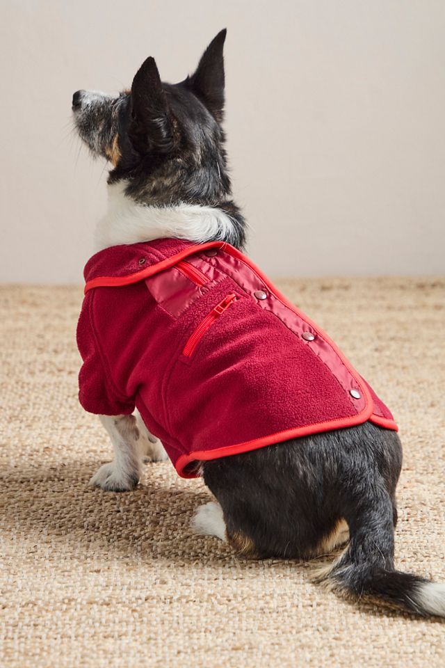 FP x Found My Animal Hit The Slopes Pet Jacket #4