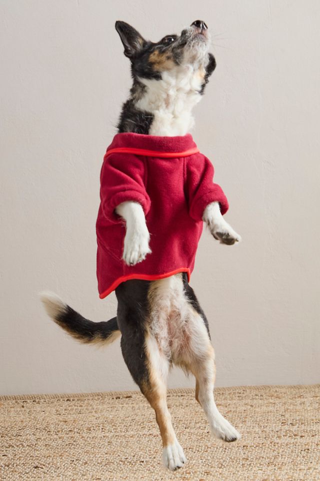 FP x Found My Animal Hit The Slopes Pet Jacket #5