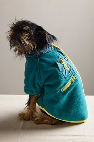 Hit The Slopes Pet Jacket by Found My Animal at Free People in Yellow, Size: L