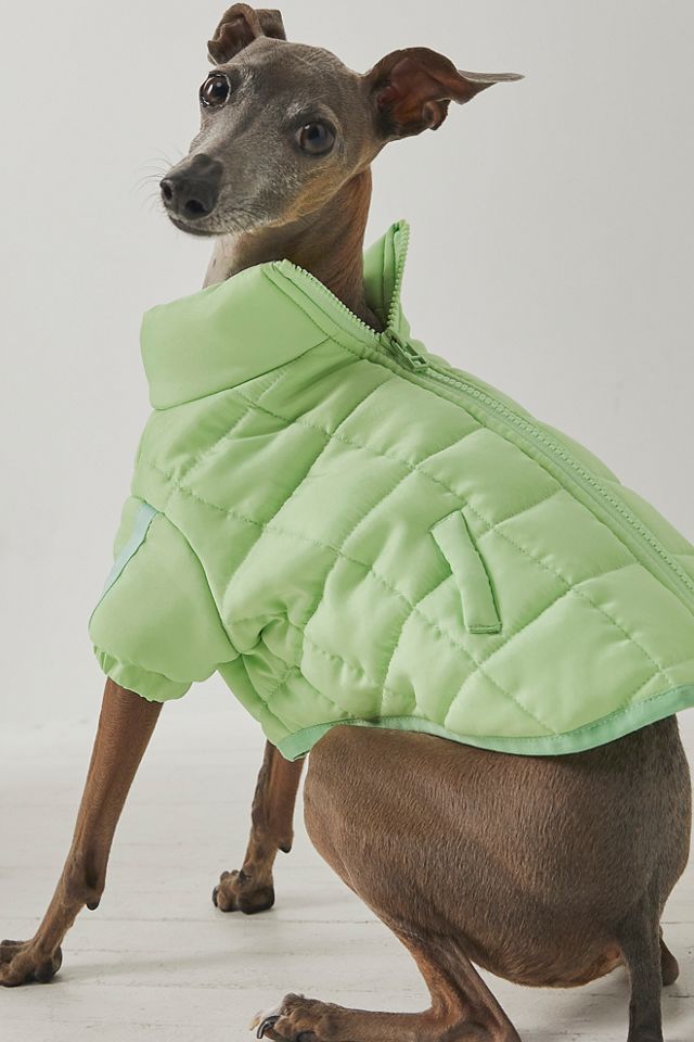 FP x Found My Animal Pippa Puffer Pet Jacket #2