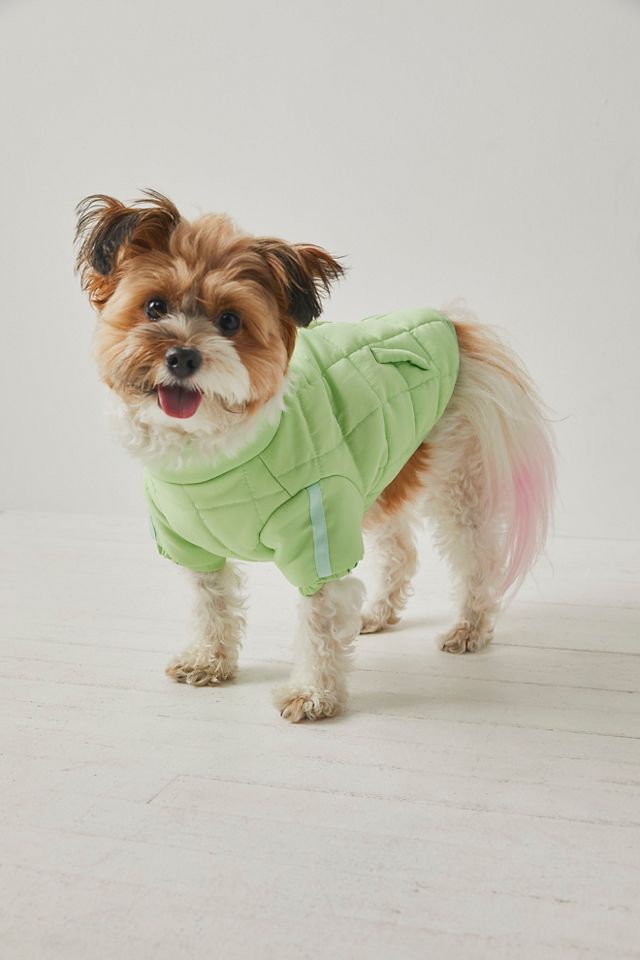 FP x Found My Animal Pippa Puffer Pet Jacket #1