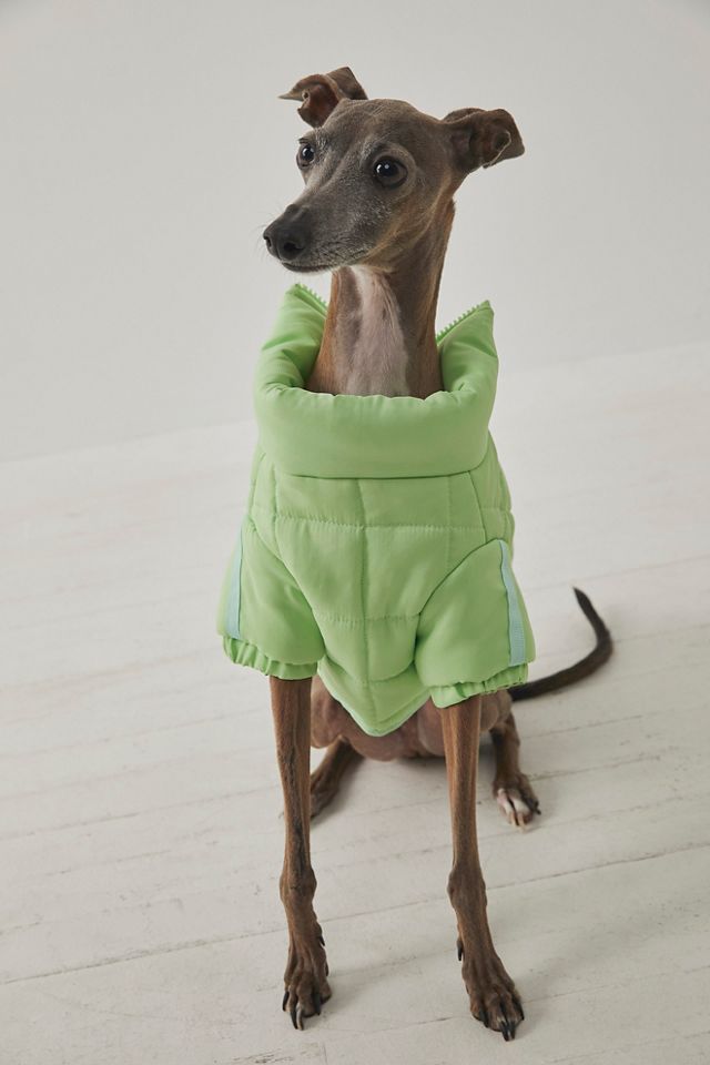 FP x Found My Animal Pippa Puffer Pet Jacket #7