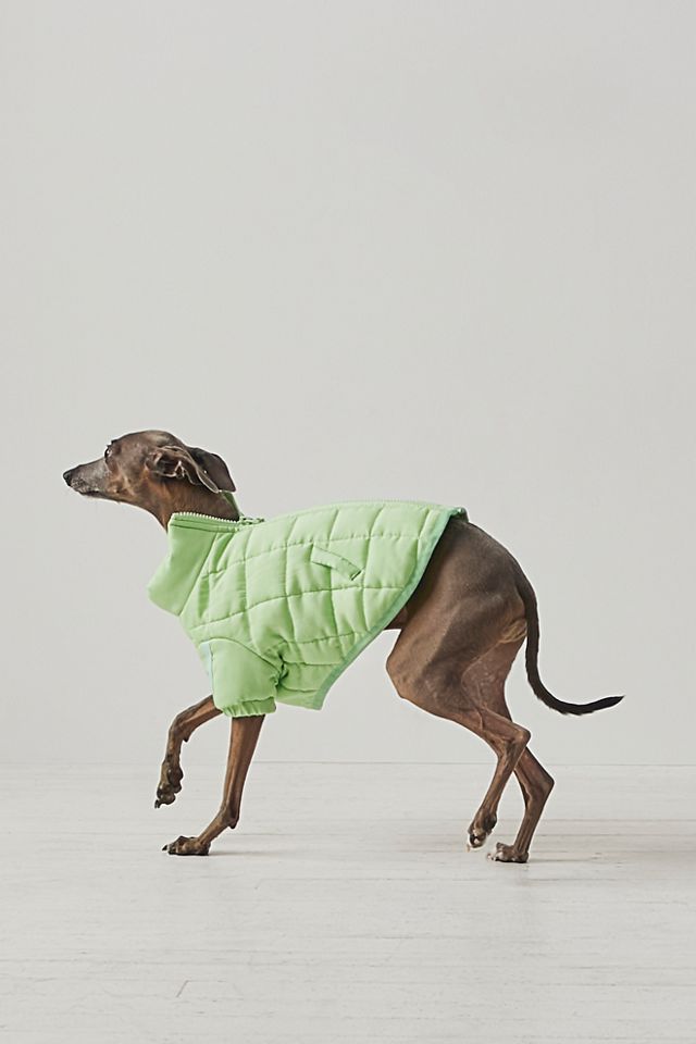 FP x Found My Animal Pippa Puffer Pet Jacket #8