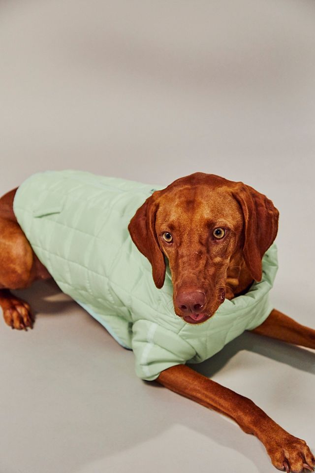 FP x Found My Animal Pippa Puffer Pet Jacket #11