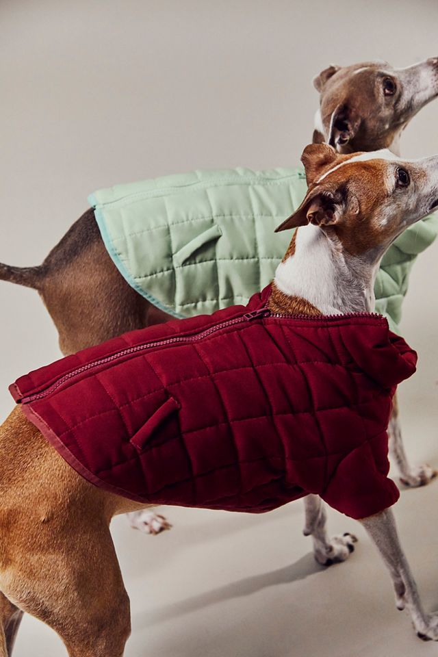 LV Supreme Jacket – Piff Pets Luxury Collection