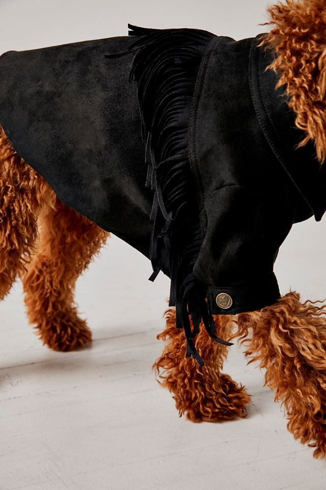 FP x Found My Animal Tough Cookie Fringe Pet Jacket #4