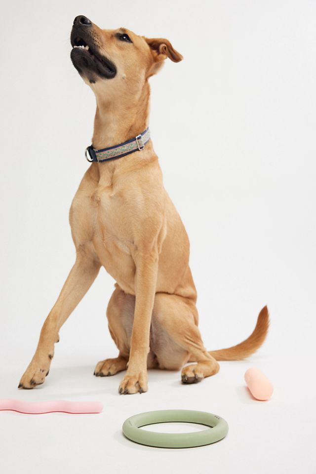 Maxbone x Bala Toy Bundle #3