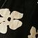 Black + Bone Flower