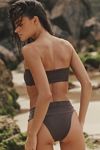 Toast Signature Banded Bikini Bottoms