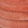Daim corail