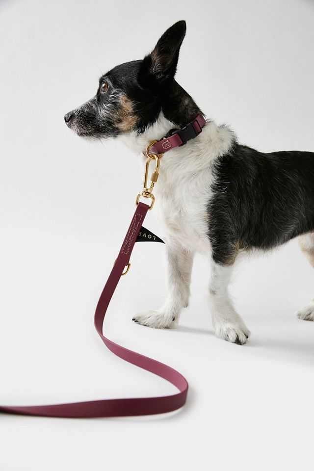 Found my animal dog leash best sale