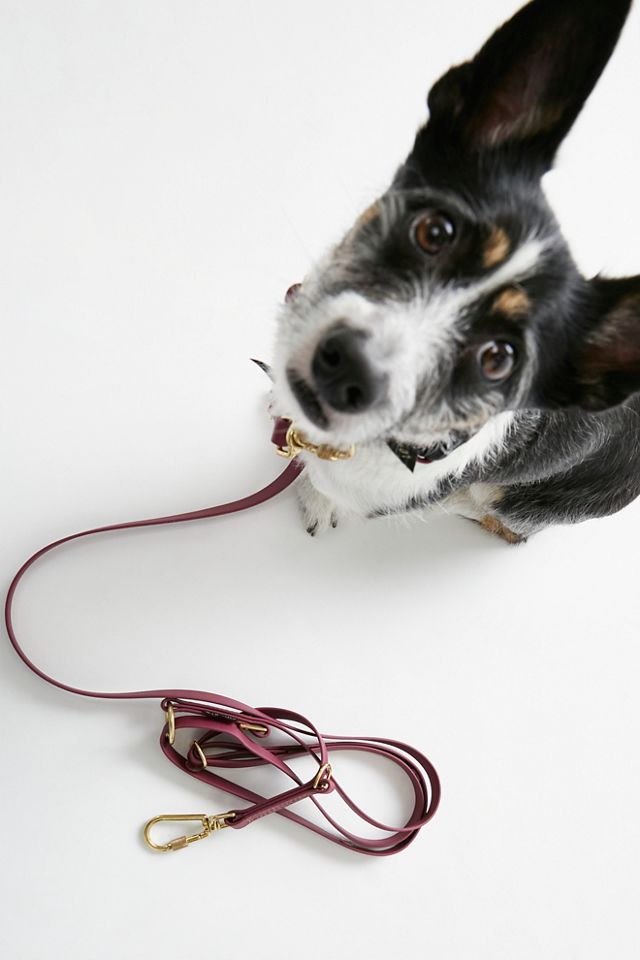 Found My Animal Water-Resistant Dog Leash