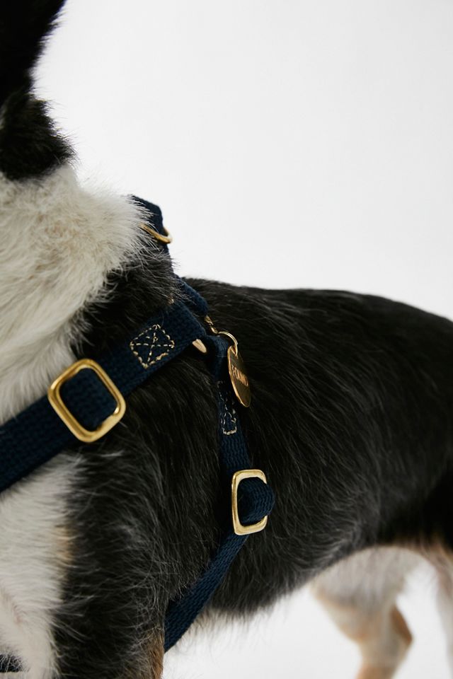 Found My Animal Dog Harness