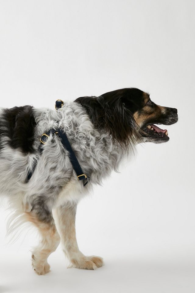 Amazon.com : Found My Animal - Black Cotton Cat & Dog