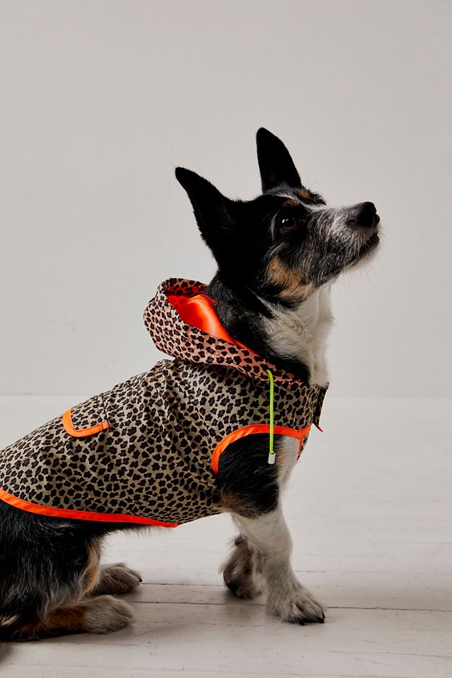 Dog raincoat